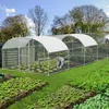 A person is tending to plants inside a large, arched, netted enclosure with a white roof, set in a garden with rows of lettuce in the foreground. Produktbild-Vorschau