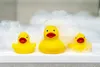 Badeenten 3tlg. nehmen kein Wasser an 515 TULLO Produktbild-Vorschau 2