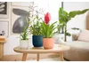 Pot Elho Vibes Fold Bleu D.22cm Design Plissé, Durable - Voir les images du produit 7