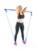 Gymstick Entraîneur de résistance "2.0", vert, léger Voir les images du produit 6