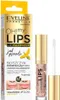 A product shot of Eveline Oh My Lips Lip Maximizer Bee Venom with its packaging. Náhľad obrázku produktu