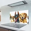 Coloray Schneidebrett Herdabdeckplatte 80x52 cm Produktbild-Vorschau 3