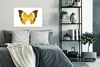 MuchoWow® Poster Schmetterlinge - Gelb - Braun 60x40 cm - Produktbild-Vorschau 4