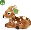 Plüsch-Rehkitz, 22 cm, umweltfreundlich Produktbild-Vorschau 11