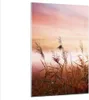 Bilder auf glas - Einteilig - Wiese Getreide Natur - Produktbild-Vorschau 1