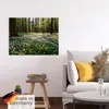 ARTland Poster Frühlingswald bedeckt mit Windröschen Größe: Produktbild-Vorschau 5