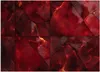 Vlies fototapete Rote Murmel 3D 450x315 cm Feeby Rot inkl. Produktbild-Vorschau 3
