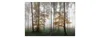 Muralo Fototapete Wald im Nebel 315 (B) x 210 (H) cm Vlies Produktbild-Vorschau 1