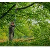 Bosch professional 18V cordless pole pruner GKE 18V-25 TP Productafbeelding-voorbeeld 37