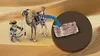 PLAYMOBIL Novelmore 71028 Sal'ahari Sands - Arwynns Mission Produktbild-Vorschau 11