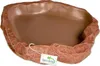 Terrario Natural Bowl – Terrarium-Schale 20x17x3 cm Produktbild-Vorschau 8