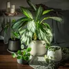 KADAX Doniczka Donica Na Kwiaty 23cm Osłonka Podstawka Podgląd zdjęcia produktu 9