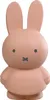 Atelier Pierre Miffy Spardose Powder Produktbild-Vorschau 1