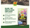 Balkon- und Kübelpflanzenerde (70 l) | Erden von COMPO Produktbild-Vorschau 4