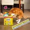 Dreamies Katzensnacks mit Huhn, knusprige Textur, 4 x 180 g Produktbild-Vorschau 18