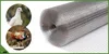 Volierendraht - 19x19x1,4mm - 5m² - Leicht - Produktbild-Vorschau 9