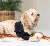 Suitical Recovery Front Leg Double Sleeve® Dog schwarz, Produktbild-Vorschau 2