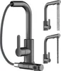 A dark grey kitchen faucet with a pull-out spray head is shown against a white background. The faucet has a modern, sleek design with a single lever handle. The pull-out hose is visible, and the spray head is shown in detail at the bottom. Two smaller inse Náhled obrázku produktu