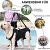 A large dog wearing a mobility harness is being assisted by a person. The image also includes smaller circular images illustrating different scenarios where the harness can be used. Produktbild-Vorschau