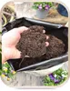 Blumenerde 20 l - Hochwertig - Nährstoffreich - Für Garten Produktbild-Vorschau 5