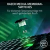 Razer Ornata V3 Tenkeyless - US Layout, Kabelgebunden, USB, Produktbild-Vorschau 3