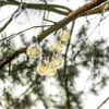 A string of LED light bulbs hanging from a tree branch. Anteprima dell’immagine prodotto