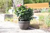 Jinfa 1 Blumenkübel aus Kunststoff in Holzoptik | Farbe: Produktbild-Vorschau 8