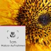 Panasonic Lumix DC-FZ82D: Cámara digital, cámara compacta Vista previa de la imagen del producto 10