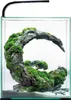 A small aquarium with a decorative rock and moss arrangement inside, illuminated by an overhead light. Voir les images du produit