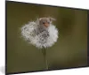 MuchoWow® MuchoWow® Gerahmtes Poster Maus - Jung - Blumen Produktbild-Vorschau 1