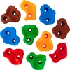 A collection of colorful climbing holds arranged on a white background. Produktbild-Vorschau