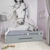 BDW letto per bambini 2 piani di sdraio, letto per ragazzi Anteprima dell’immagine prodotto 2