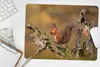 MuchoWow® Mauspad Mousepad Eichhörnchen - Baumstamm - Wald Produktbild-Vorschau 5