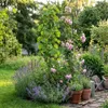 Garten Terrasse Pergola Rosenstütze Set Metall Stabil Produktbild-Vorschau 12