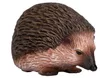 Animal Planet Stacheligel Produktbild-Vorschau 4