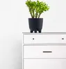 A black plant pot with a green plant sits on top of a white dresser. Náhľad obrázku produktu