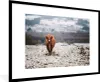 MuchoWow® Gerahmtes Poster Schottischer Highlander - Schnee Produktbild-Vorschau 1