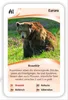 ASS Quartett Wilde Tiere, 1 Set Produktbild-Vorschau 7
