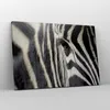Bild auf Leinwand - Leinwandbild - Zebra Streifen Tierwelt Produktbild-Vorschau 4