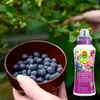 Hortensien-Dünger 0,5 l - Hochwertig - Nährstoffreich - Für Produktbild-Vorschau 6