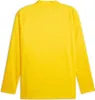 S|Borussia Dortmund BVB PUMA Herren Trainingsjacke Produktbild-Vorschau 5