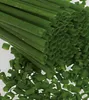 Schnittlauch Staro grobröhrig | Schnittlauchsamen von Dürr Produktbild-Vorschau 4