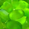 VIVIL Limette-Minze Erfrischungsbonbons ohne Zucker | 5 Produktbild-Vorschau 6