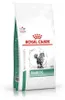 Royal Canin Diabetic, voor volwassen dieren, 3,5 kg, bevat Productafbeelding-voorbeeld 1