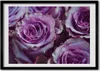 Bild - Bilderrahmen - 100 cm x 70 cm - MDF - Rahmen - Foto Produktbild-Vorschau 1