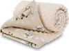 Babydecke Kuscheldecke 75x100 cm zweiseitig Plüsch Produktbild-Vorschau 1