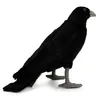Rabe 30cm Krähe Vogel Schwarz Realistisch Deko Stofftier Produktbild-Vorschau 4