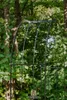 Arc de cercle EMMA 140 cm rouille naturelle Voir les images du produit 10