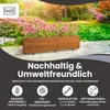 IvoQ Pflanzkasten aus Holz – 120x40x32 cm – Massives Holz – Produktbild-Vorschau 3