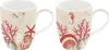 2er Set Becher, Tassen Maritim REEF Korallen 350ml Produktbild-Vorschau 1